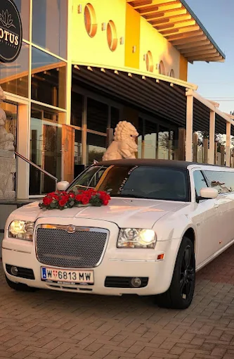 Hochzeitslimousine mieten in Wien